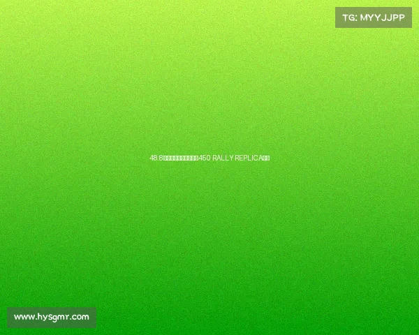 48.8万元，顶级拉力！全新450 RALLY REPLICA来了