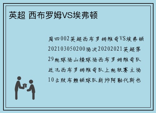 英超 西布罗姆VS埃弗顿