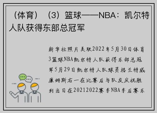 （体育）（3）篮球——NBA：凯尔特人队获得东部总冠军